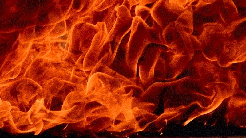 1,666?! You Maniacs Did It! 🔥🤘